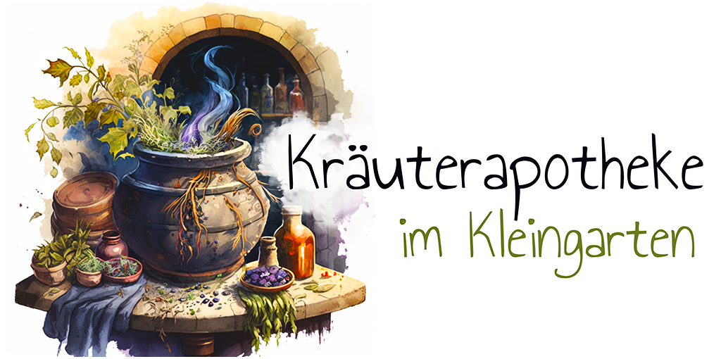 Kräuterapotheke im Kleingarten