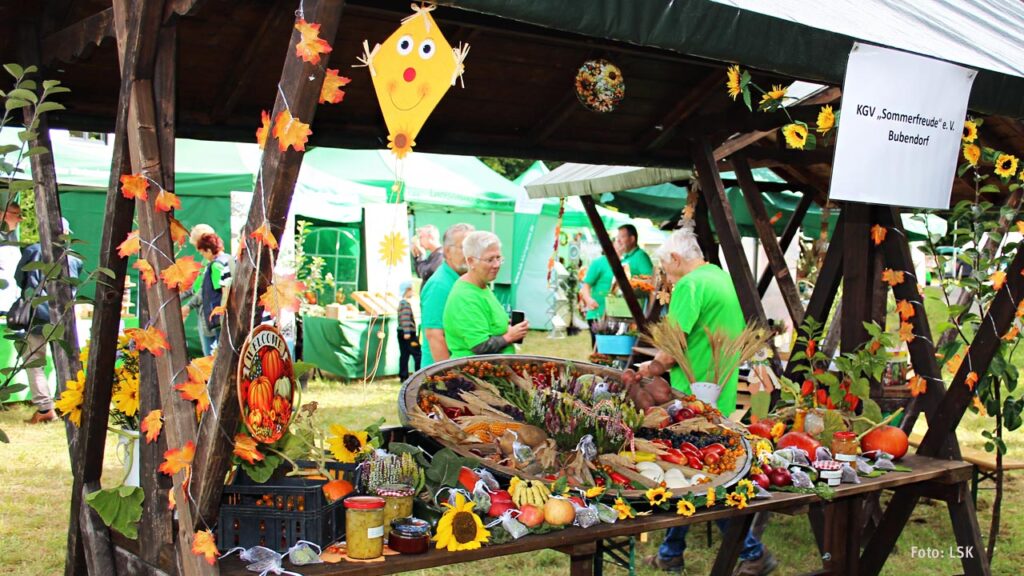 Landeserntedankfest in Frohburg 2023