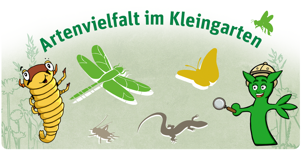 Artenvielfalt im Kleingarten