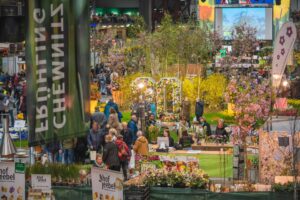 Chemnitzer Frühling