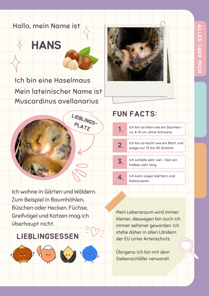 Haselmaus