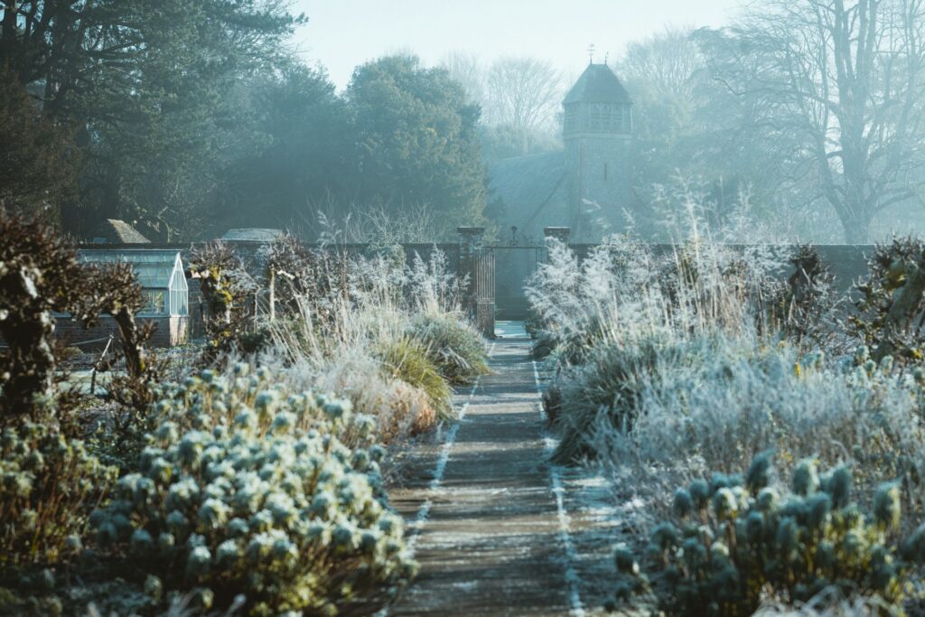 Februar Winter Garten