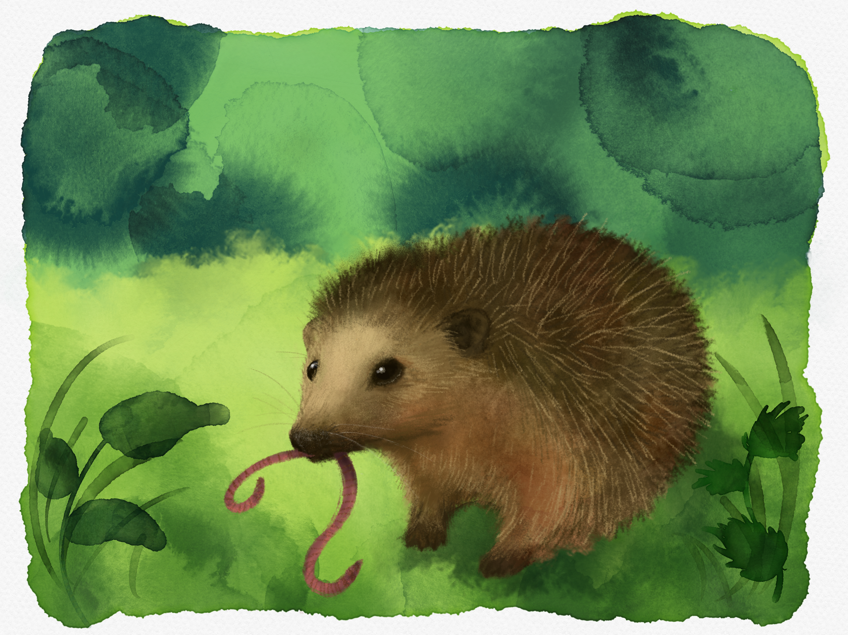 Igel Kinderspaß